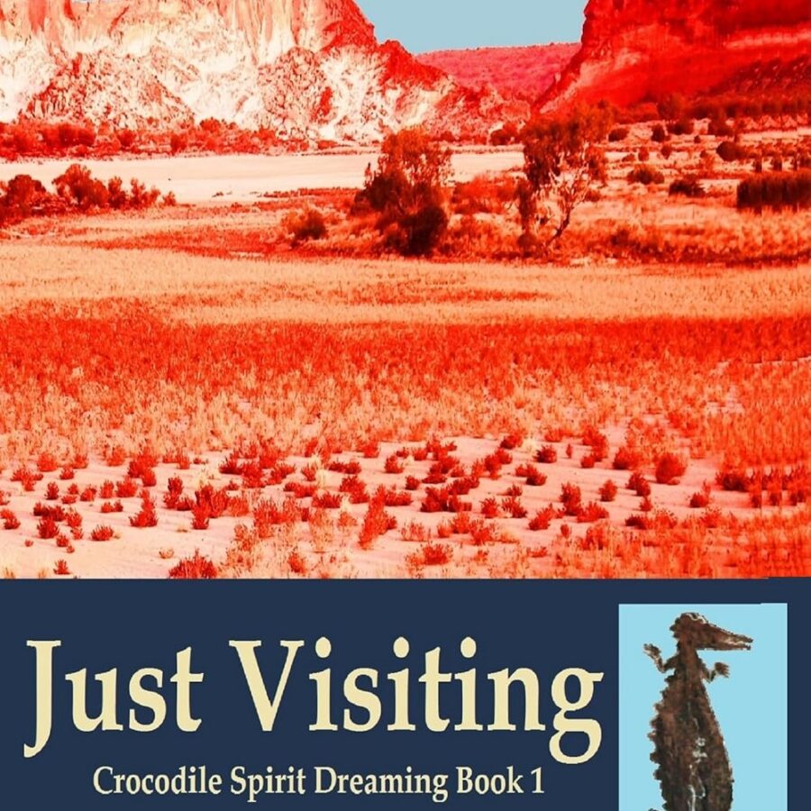 just visiting by graham wilson